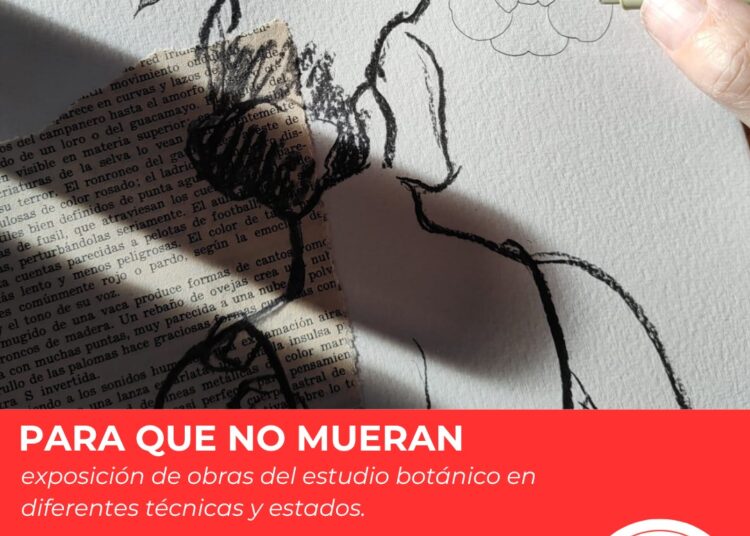 El Museo Mulazzi presenta «Para que no mueran», la primera muestra individual de MeLang