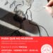 El Museo Mulazzi presenta «Para que no mueran», la primera muestra individual de MeLang