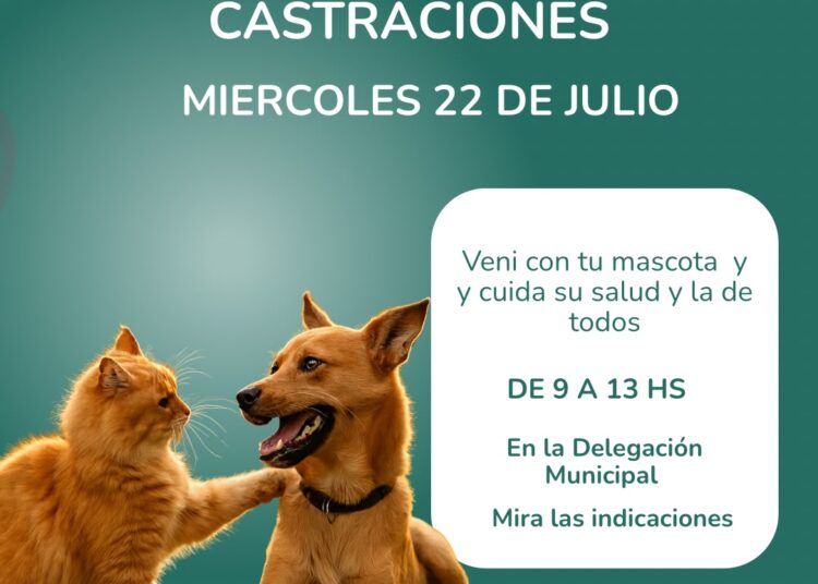 Habrá una jornada de castración gratuita de mascotas en Reta