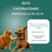 Habrá una jornada de castración gratuita de mascotas en Reta