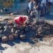 La Municipalidad invita a participar de la propuesta turística «La Semilla de la Industria»