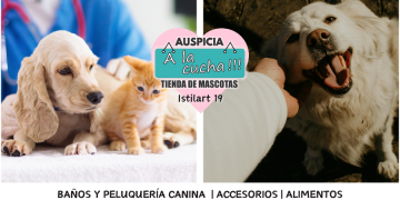 Cuidados esenciales para mascotas en el hogar
