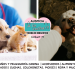 Cuidados esenciales para mascotas en el hogar