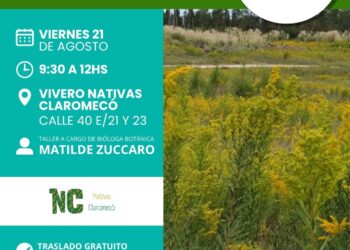 El programa «Sembrar Salud» brindará un taller de plantas medicinales en Claromecó