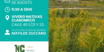 El programa «Sembrar Salud» brindará un taller de plantas medicinales en Claromecó