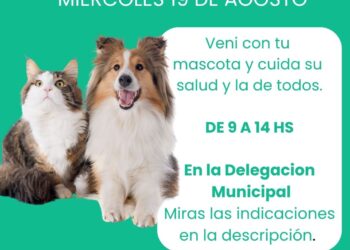 Jornada de castraciones gratuitas para mascotas en Copetonas