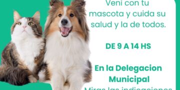Jornada de castraciones gratuitas para mascotas en Copetonas