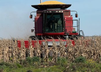 Prestación de servicios agrícolas: un emprendimiento familiar santafesino suma equipos para la cosecha regional