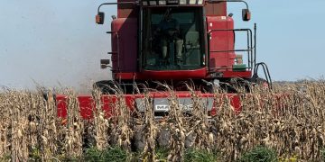 Prestación de servicios agrícolas: un emprendimiento familiar santafesino suma equipos para la cosecha regional