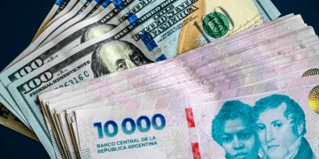 Financiamiento en el campo: el crédito al sector agropecuario creció un 37% interanual impulsado por las divisas y la actividad técnica
