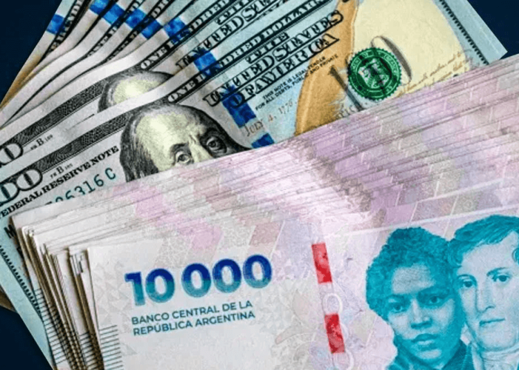 Financiamiento en el campo: el crédito al sector agropecuario creció un 37% interanual impulsado por las divisas y la actividad técnica