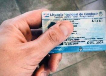 La Provincia prorrogó por 120 días las licencias profesionales de conducir
