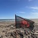 Marea Roja prepara su sexto concurso de pesca con 48 millones en premios