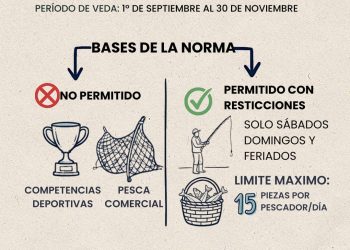 Controles sanitarios: realizarán la jornada obligatoria de desinfección de remises en Tres Arroyos