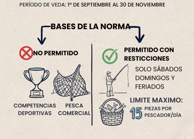 Controles sanitarios: realizarán la jornada obligatoria de desinfección de remises en Tres Arroyos