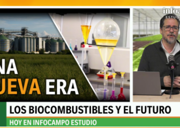Más allá del debate legislativo: la demanda de biocombustibles se afianza y proyecta un horizonte de expansión para la agroindustria