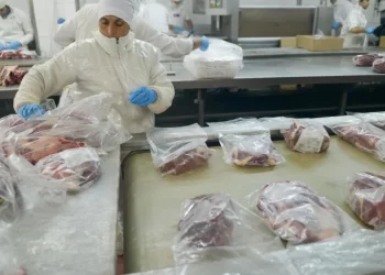 El «efecto precio» apuntala la caja cárnica: las exportaciones alcanzaron ingresos récord pese a volúmenes estancados