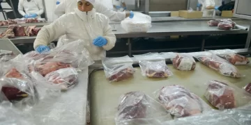 El «efecto precio» apuntala la caja cárnica: las exportaciones alcanzaron ingresos récord pese a volúmenes estancados