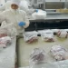 El «efecto precio» apuntala la caja cárnica: las exportaciones alcanzaron ingresos récord pese a volúmenes estancados