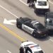 Detuvieron a un hombre tras una intensa persecución policial por el robo de un vehículo en Florida