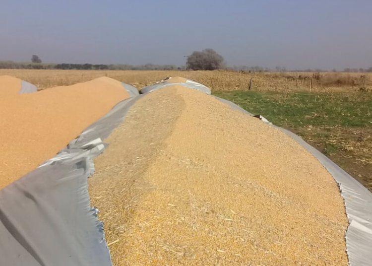 Causa Hotesur-Los Sauces: preparan la batería de pruebas clave contra Máximo Kirchner para la etapa oral