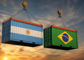 Espejismo de equilibrio: la drástica caída del déficit con Brasil revela la debilidad del consumo interno y el avance de China