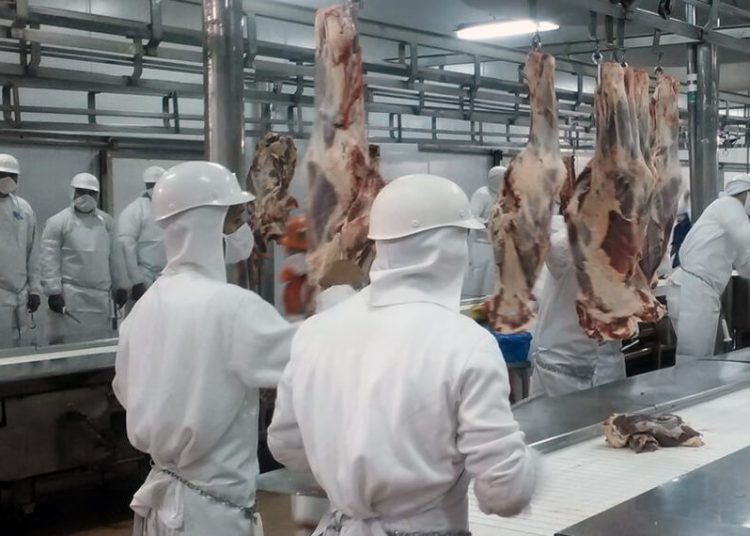 Milei ratifica el rumbo económico sin concesiones mientras crecen las tensiones internas en el oficialismo