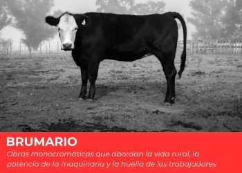 Se inaugura en el Museo Mulazzi la muestra fotográfica «Brumario», de Lucas Chillemi