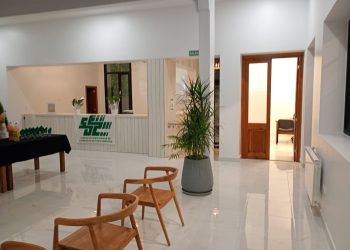 Alimentación y cuidado integral: invitan a una charla abierta para familiares y cuidadores