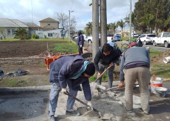 El Centro Municipal de Salud renueva sus jardines tras labores preventivas de seguridad