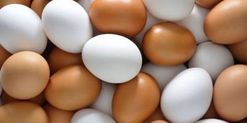 La industria avícola argentina celebra un récord exportador en el marco de la Semana del Huevo