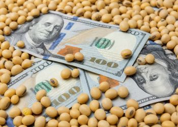 Ventas récord de granos y precios firmes impulsan la liquidez de agrodólares en el mercado argentino