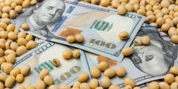 Ventas récord de granos y precios firmes impulsan la liquidez de agrodólares en el mercado argentino