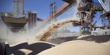 Fuerte impulso del agro: la liquidación de divisas creció un 17% en septiembre y roza los US$22.300 millones en lo que va del año