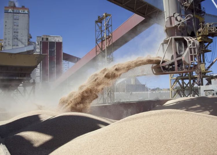 Fuerte impulso del agro: la liquidación de divisas creció un 17% en septiembre y roza los US$22.300 millones en lo que va del año