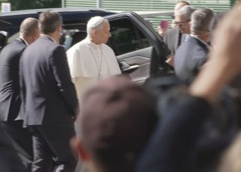 La industria avícola argentina celebra un récord exportador en el marco de la Semana del Huevo