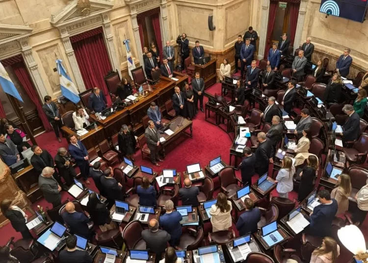 El Senado aprobó y dio media sanción a la reforma de la Ley de Salud Mental con modificaciones clave